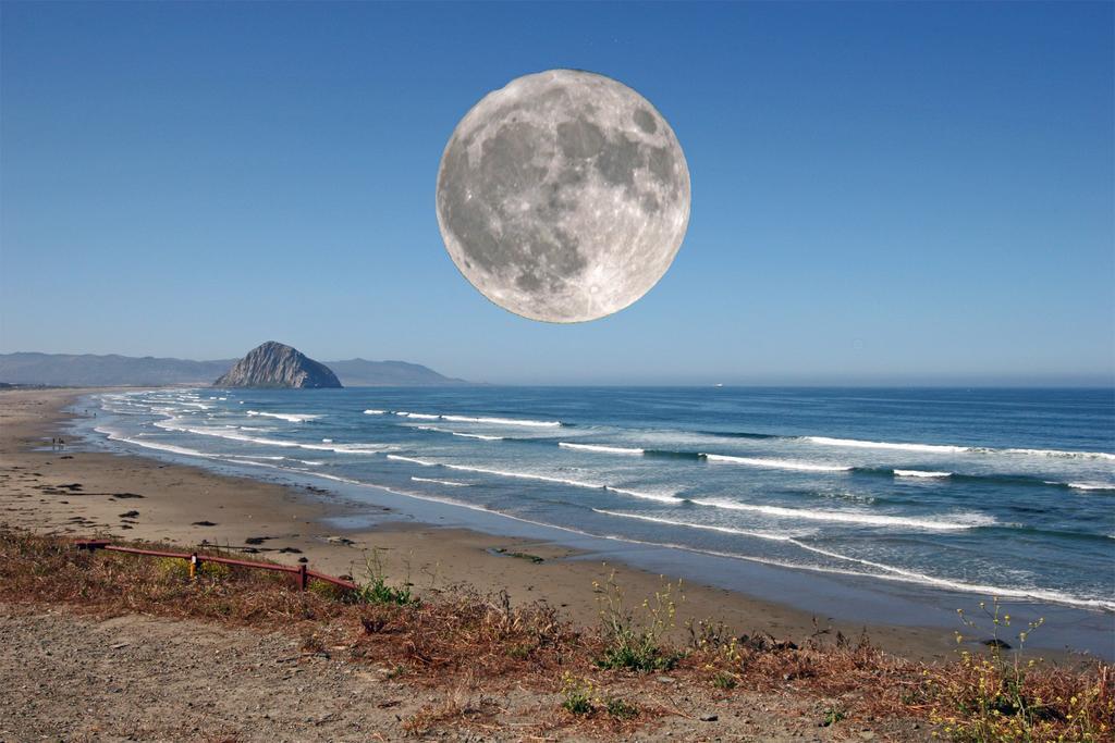 Morro Bay Beach Inn (Adults Only) Luaran gambar